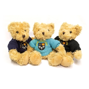 Show details for Large Teddy Bear in Jumper